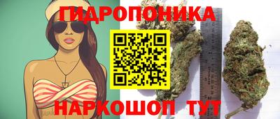 метадон Бийск