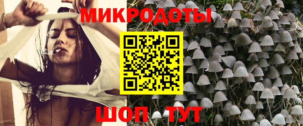 Канаш  даркнет сайт  Вход с VPN  Псилоцибиновые грибы GOLDEN TEACHER 